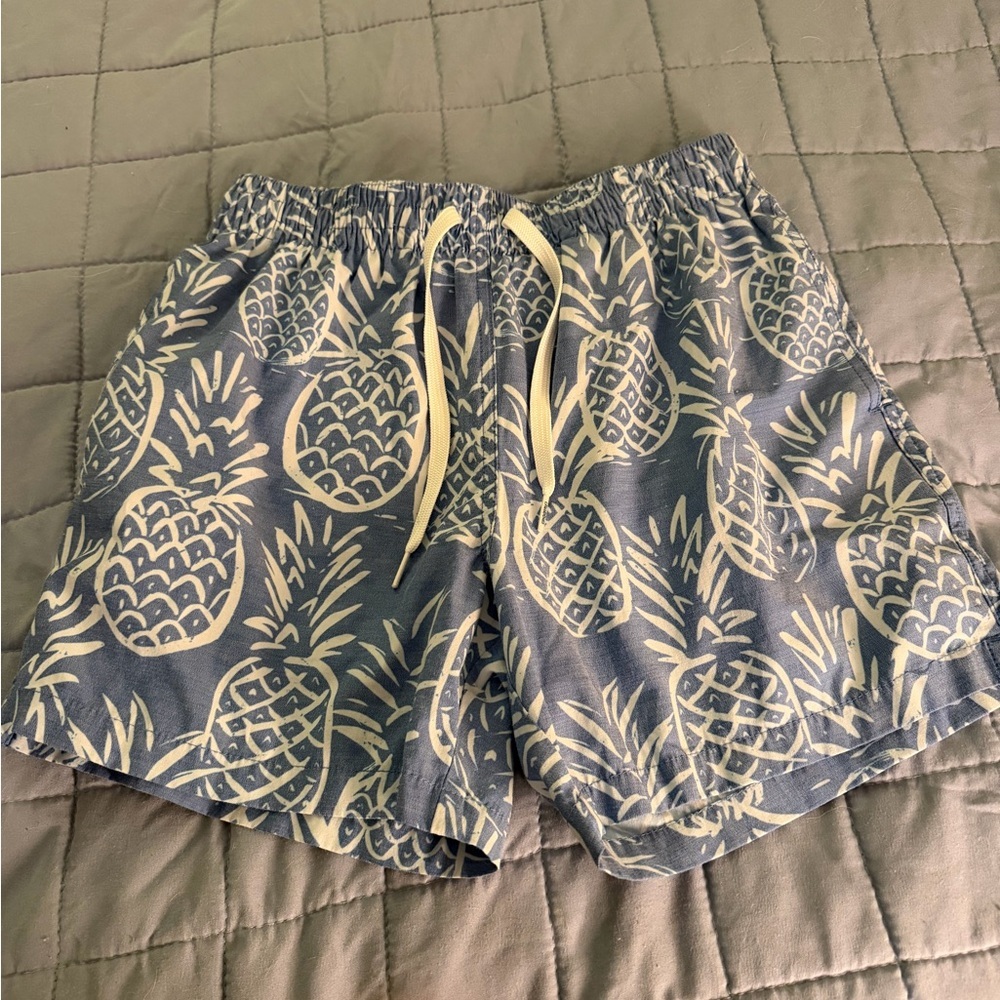 Chubbies men’s pineapple swim trunks 5.5 inseam mens small